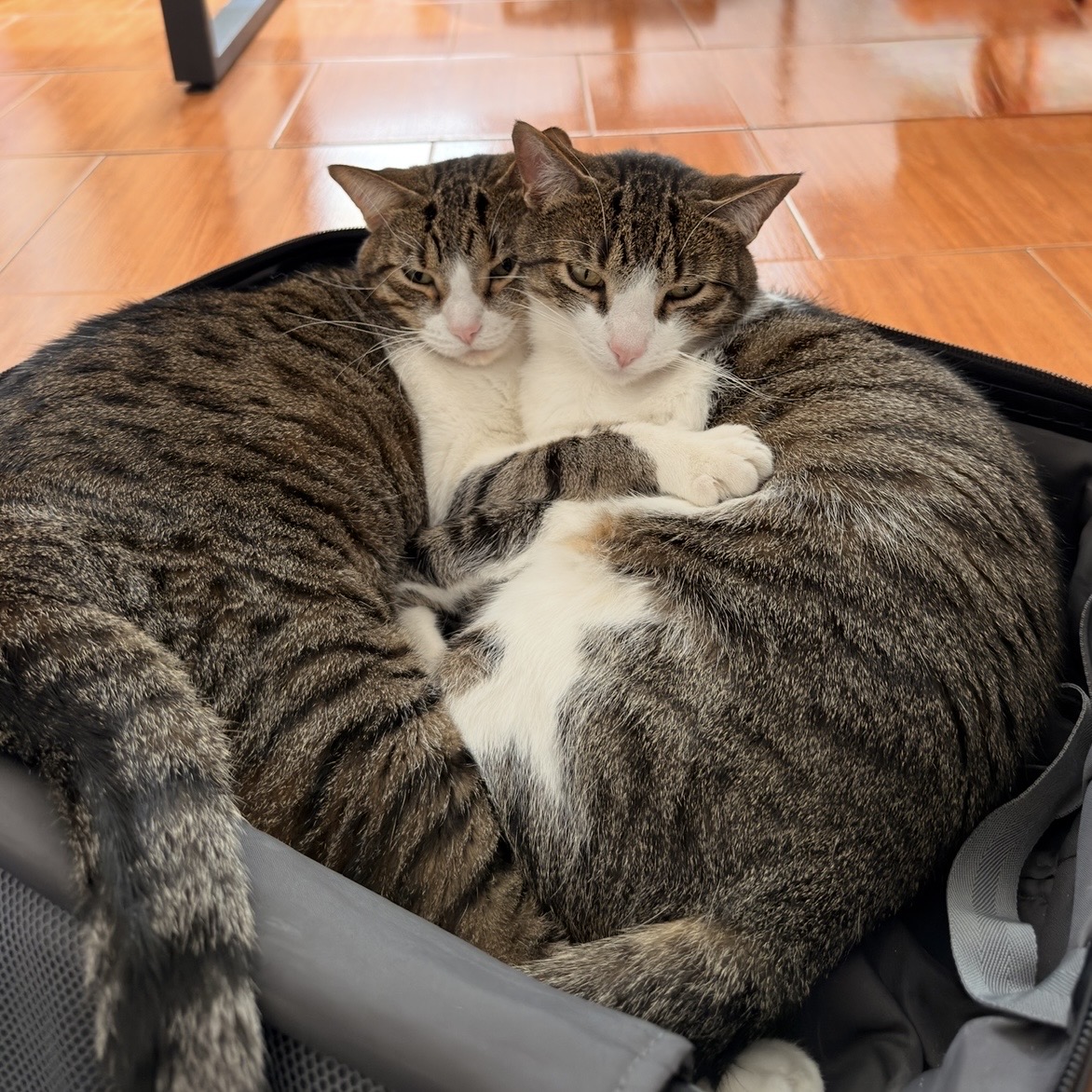 Jax y Kiki